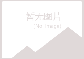 大观区白山邮政有限公司